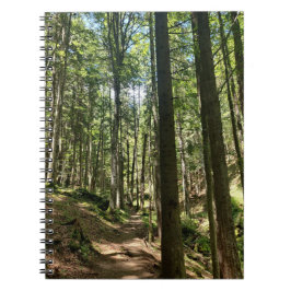 Whispers van het bos notitieboek