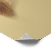 Whistlejacket horse by George Stubbs Poster (Hoek)