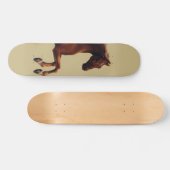 Whistlejacket horse by George Stubbs Skateboard (Horizontaal)