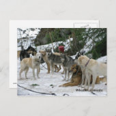 Whistler, Canada Briefkaart (Voorkant / Achterkant)