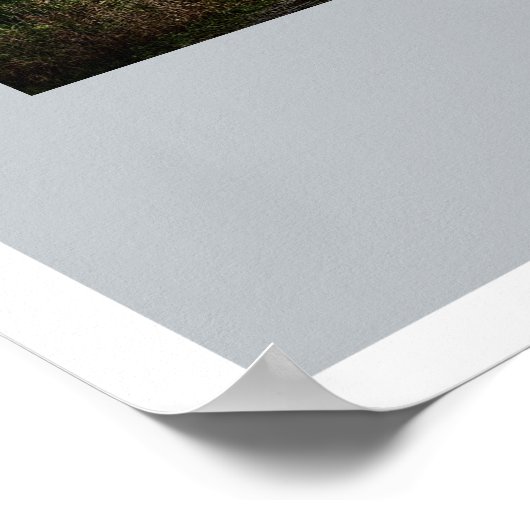 Whitby Abbey Poster (Hoek)