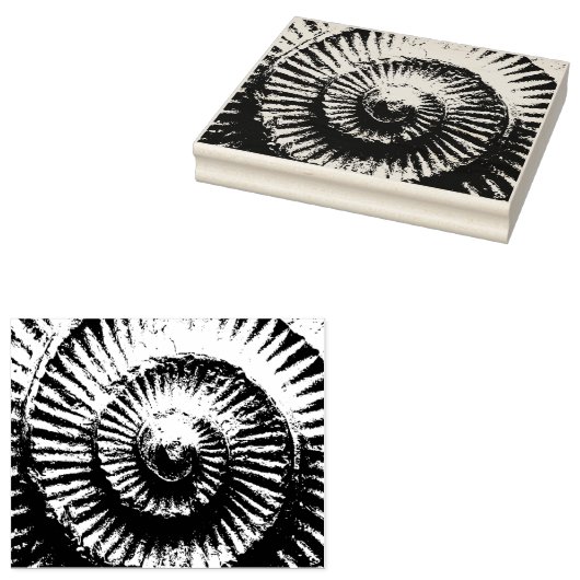 Whitby Ammonite Rubberstempel (Gestempeld)