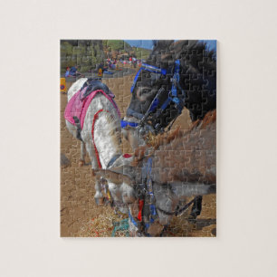 Whitby Donkeys Legpuzzel