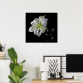white-82698 white lily flower natuur Beautha digit Poster (Thuiskantoor)