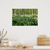 White A field of trilliums, Niagara Herfst bloemen Poster (Keuken)