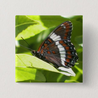 White Admiral Butterfly Vierkante Button 5,1 Cm