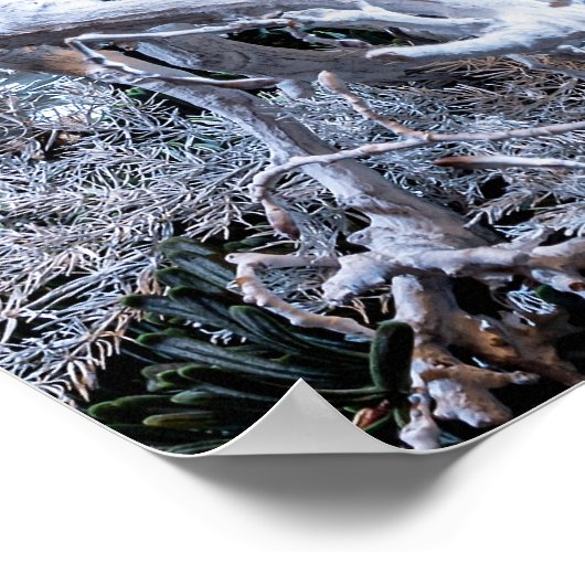 White Advent Wreath Poster (Hoek)