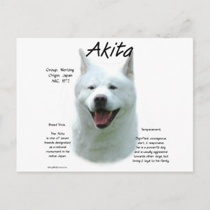 White Akita Geschiedenis Briefkaart