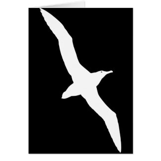 White Albatross Bird in Flight