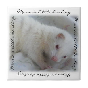 White Albino Ferret Afbeelding Tegeltje