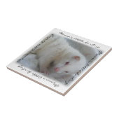 White Albino Ferret Afbeelding Tegeltje (Zijkant)