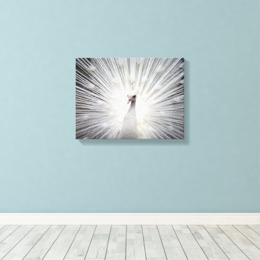 White Albino Peacock Stunning Art Canvas Afdruk (Insitu (Houten vloer))