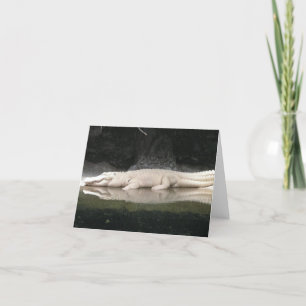 White Alligator Note Kaart