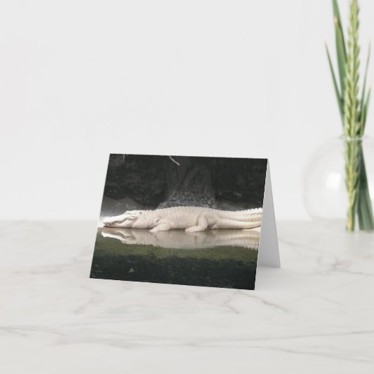 White Alligator Note Kaart (Voorkant)