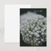 White Allium Notitiekaartje (Voorkant / Achterkant)