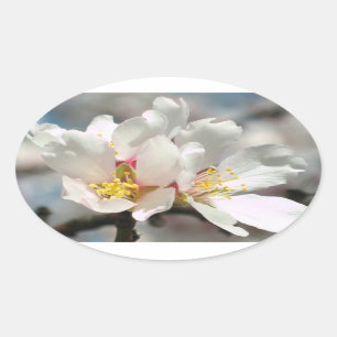 White Almond Blossom Sticker