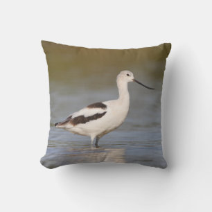 White American Avocet Kussen