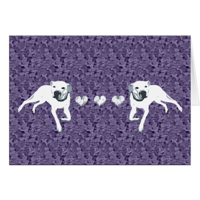 White American Pit Bull met hart/paars (Voorkant Horizontaal)