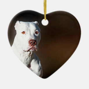 White American Pitbull Terrier Rescue Dog Keramisch Ornament