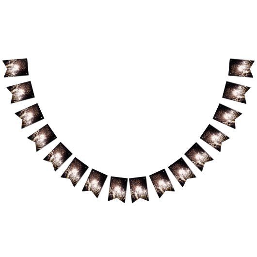 White and Gold Fireworks I Patriottic Celebration Vlaggetjes (Alle)