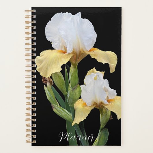 White and Yellow Irises Floral (Devant)
