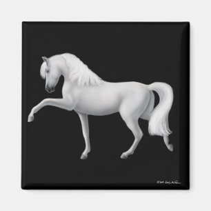 White Andalusians Horse Magnet Magneet