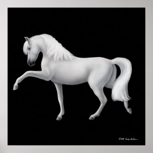 White Andalusians Horse Print (Voorkant)