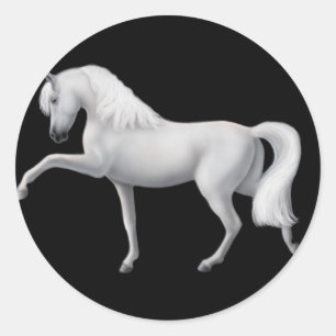 White Andalusians Horse Sticker
