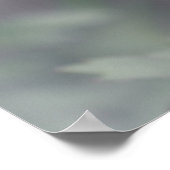 White Anemone Poster (Hoek)