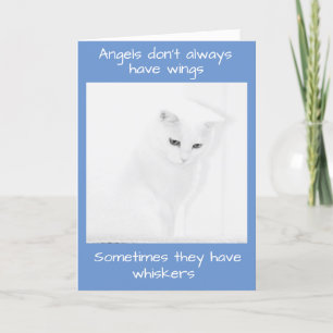 White Angel Cat biedt sympathie Kaart
