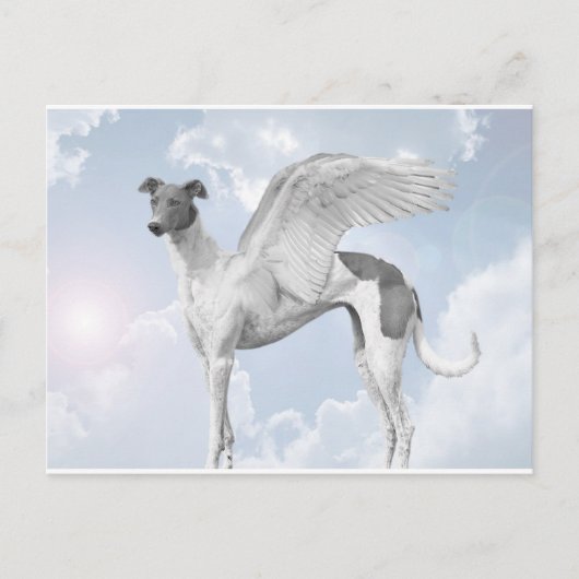 White Angel Greyhound Briefkaart (Voorkant)