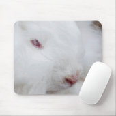 White Angora Rabbit Muismat (Met muis)