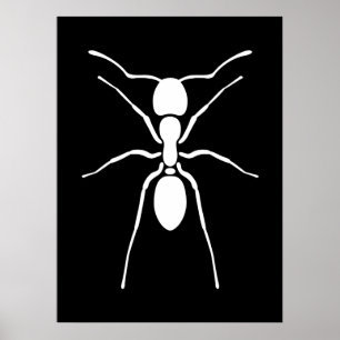 White Ant Poster