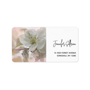White Apple Blossom Photography Etiket