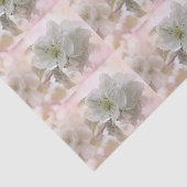 White Apple Blossom Photography Patterted Tissuepapier (Detail)