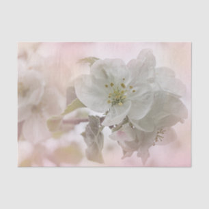White Apple Blossom Photography Tissuepapier