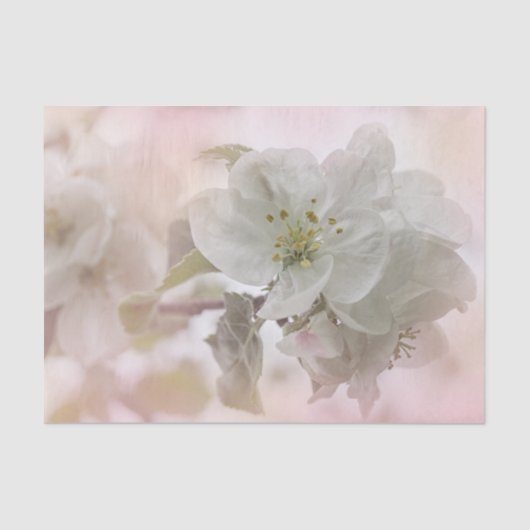 White Apple Blossom Photography Tissuepapier (Voorkant)