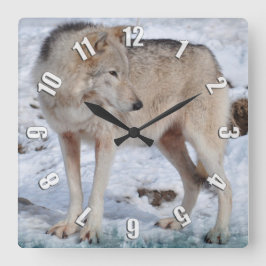 White Arctic Wolf and Snow Wildlife Art Clock Vierkante Klok