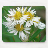 White Asters Mousepad Muismat (Voorkant)