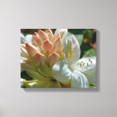 White azalea flower bloesem and bud canvas afdruk (Voorkant)