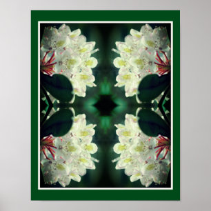 White Azalea Flower with Raindrops Abstract Poster