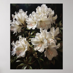 White Azalea Flowers Art Print Poster
