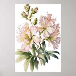 White Azalea Flowers Art Print Poster