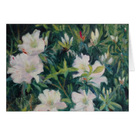 "White Azaleas"