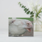 White Baroque Donkey Briefkaart (Staand voorkant)