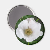 White Beach Rose Magnet (Recto/Verso)