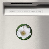 White Beach Rose Magnet (In Situ (Lave-vaisselle))