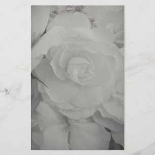 White Begonia Briefpapier