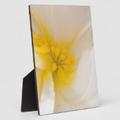 White Begonia Fotoplaat (Zijkant)