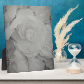 White Begonia Fotoplaat (Zijkant)